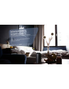 DISTRI V : Désodorisants Professionnels - l'Aude