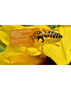 DISTRI V (11) : Rodonticides, Insecticides Pro et Dissuasifs