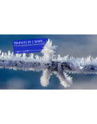 DISTRI V : Antigel, Déneigeant & Dégivrant PRO Aude (11)